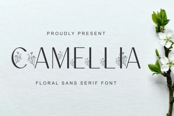 Camellia Font: A Beautiful Blend of Art and Typography for Creative Projects